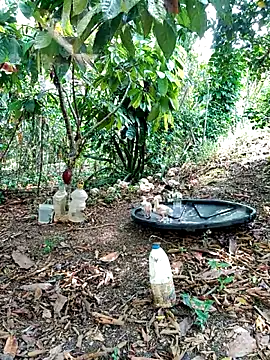 AlphaAlterX online show from March 2026 03:52:01 PM