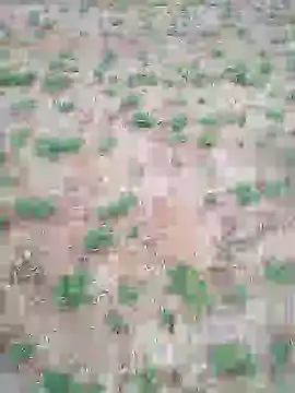 Snapshot of Susila_ji chatting on July 2026 01:07:01 PM Susila ji online show from July 2026 01:07:01 PM