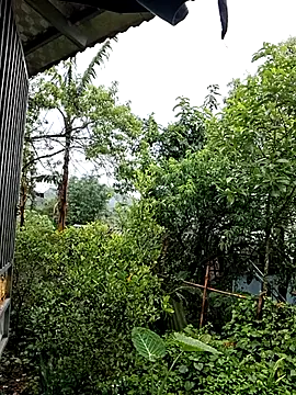 ALIENHR38 online show from April 2026 04:43:02 AM