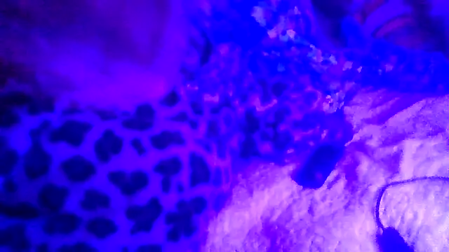 Snapshot of prettymaa chatting on February 2026 06:53:01 AM prettymaa online show from February 2026 06:53:01 AM