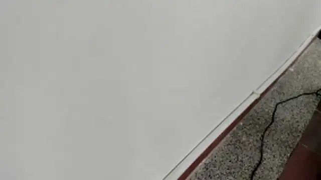 michelle perla online show from January 2026 07:06:02 PM