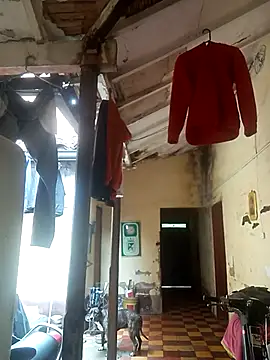 hairy mannn online show from February 2026 02:14:01 PM