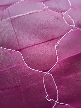 Snapshot of Lavanyaatelugu chatting on November 2025 02:09:01 AM Lavanyaatelugu online show from November 2025 02:09:01 AM