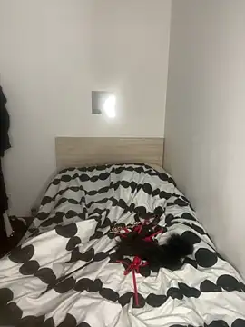 dreamgt online show from March 2026 12:00:01 PM