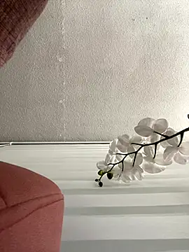 Adele Pinkk online show from November 2025 11:33:01 AM