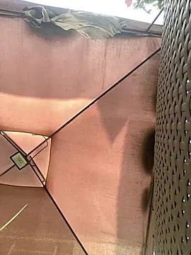 Adele Pinkk online show from November 2025 11:57:02 AM