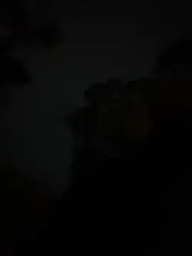 szk2412 online show from February 2026 01:40:01 PM