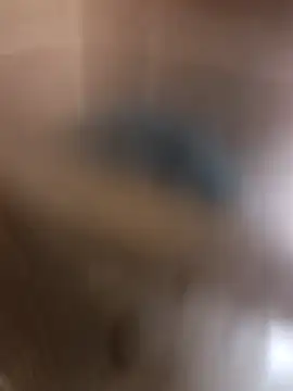 kirikou0644 online show from March 2026 04:34:01 PM