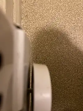 Pedro98801 online show from December 2025 03:56:02 AM