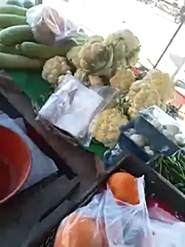 playboy31top online show from February 2026 09:23:02 AM