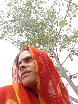 H seema online show from April 2026 07:42:01 AM