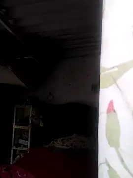  tetas 92 online show from January 2026 02:44:01 PM