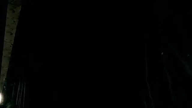 rosy petal online show from November 2025 03:23:01 PM