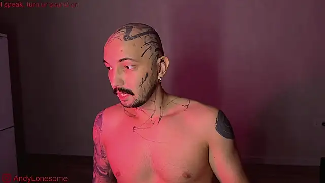 Snapshot of AndyLonesome chatting on September 2025 08:42:01 PM AndyLonesome online show from September 2025 08:42:01 PM