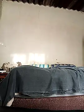 Snapshot of average_price chatting on October 2025 04:21:01 AM average price online show from October 2025 04:21:01 AM