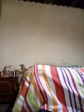 Snapshot of average_price chatting on November 2025 04:13:01 AM average price online show from November 2025 04:13:01 AM