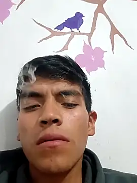 DavidVergagigante420 online show from September 2025 05:18:02 AM