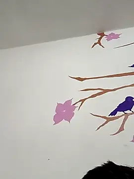 DavidVergagigante420 online show from February 2026 05:12:02 AM