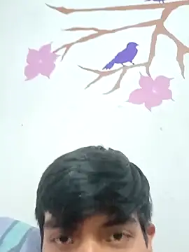 DavidVergagigante420 online show from February 2026 09:41:01 PM