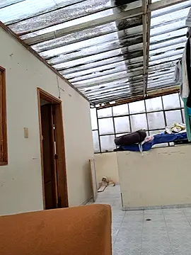 Monse--145 online show from September 2025 01:34:01 PM