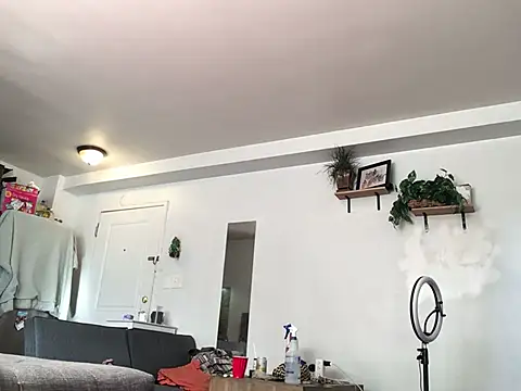 littyleesh1 online show from January 2026 04:01:01 PM