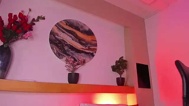 B Wild online show from February 2026 04:22:02 AM