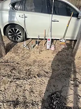 Fengbaby-555 online show from February 2026 06:22:01 AM