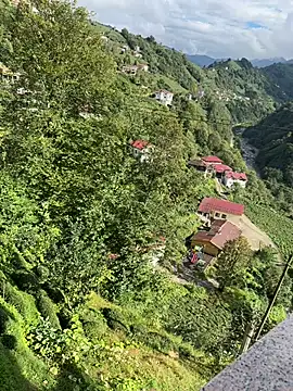 Snapshot of LAZ3R1 chatting on October 2025 11:00:02 AM LAZ3R1 online show from October 2025 11:00:02 AM