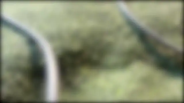 AzureEyes online show from February 2026 02:37:02 PM