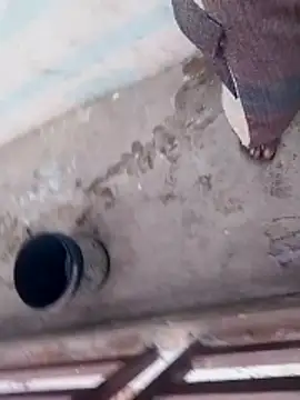 haryanaboypanipat12 online show from April 2026 12:52:01 AM