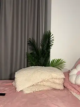 Snapshot of Andrestarr chatting on February 2026 06:44:02 PM Andrestarr online show from February 2026 06:44:02 PM