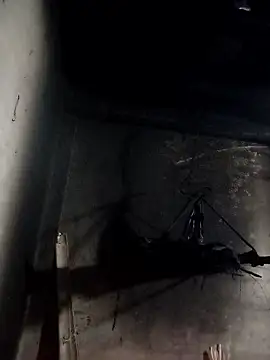 Snapshot of Dung_x chatting on January 2026 01:02:02 PM Dung x online show from January 2026 01:02:02 PM