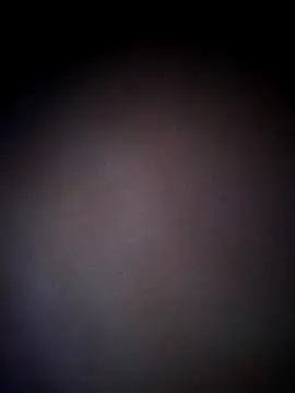 thehotlady online show from October 2025 08:44:01 AM