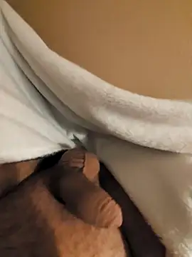 Snapshot of verjaya chatting on November 2025 10:26:02 PM verjaya online show from November 2025 10:26:02 PM