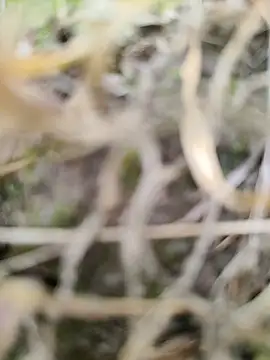 karandeep Bhagat online show from March 2026 10:43:02 AM