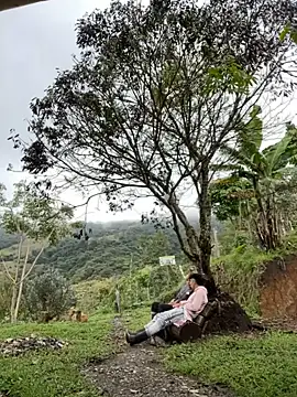 Snapshot of sky-wolves chatting on October 2025 04:19:01 PM sky-wolves online show from October 2025 04:19:01 PM