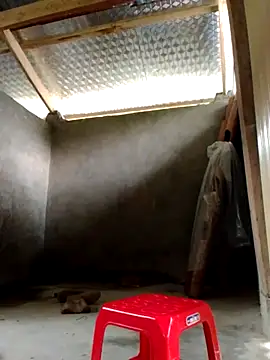 donna-bae online show from October 2025 03:58:02 AM