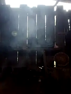 donna-bae online show from October 2025 11:13:02 PM