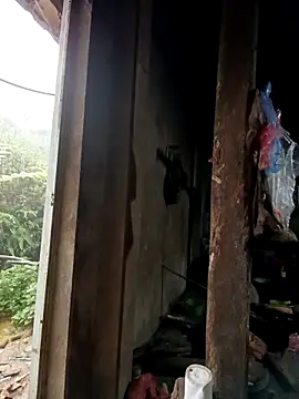 tulipsexy online show from October 2025 12:44:02 AM