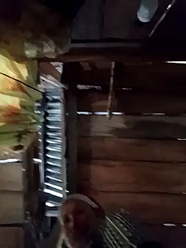 callistra online show from April 2026 04:34:01 AM