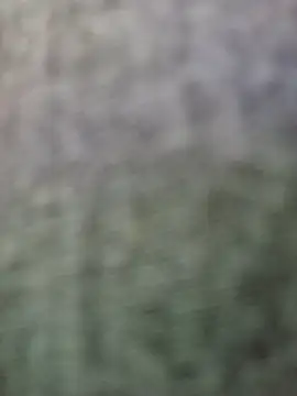 JeffersonRay online show from January 2026 01:52:02 AM