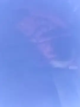 pussybebi online show from March 2026 06:12:02 PM