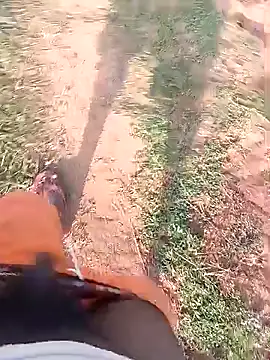 AgitatedStrip9 online show from October 2025 02:21:02 AM