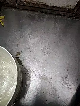 telugumodda4396 online show from November 2025 01:50:01 AM