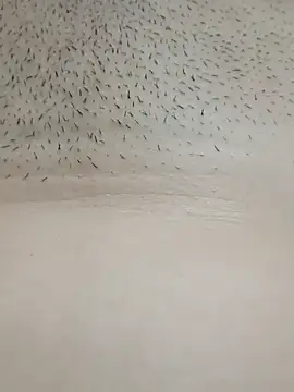 Snapshot of xxSafiraxx chatting on October 2025 07:39:02 AM xxSafiraxx online show from October 2025 07:39:02 AM