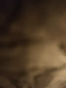  online show from September 2025 11:34:02 AM