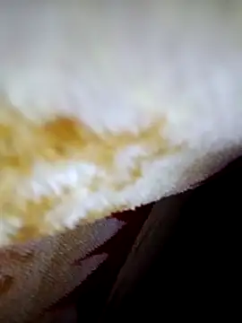 Snapshot of alone_boy802 chatting on October 2025 04:15:02 PM alone boy802 online show from October 2025 04:15:02 PM