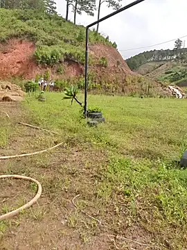 Helen-Tran online show from November 2025 03:27:02 AM