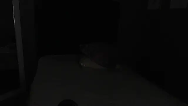 Vic Taylor online show from November 2025 12:43:01 AM