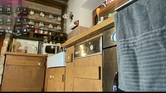 vani vibez online show from November 2025 05:02:01 PM